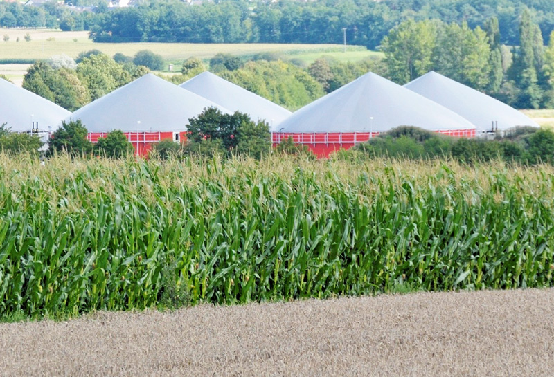 Biomasseerzeugung bedeutendes Standbein