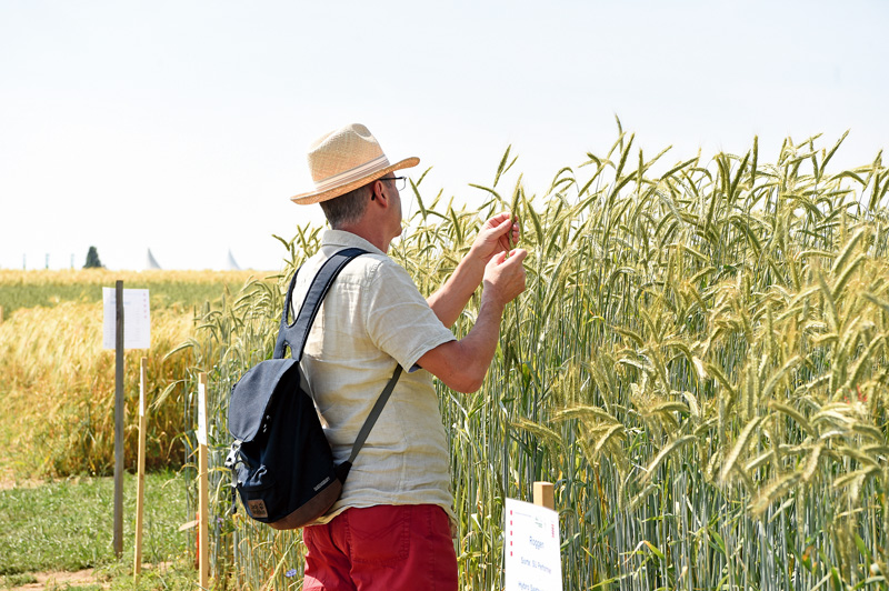 Nicht nur für Biobetriebe