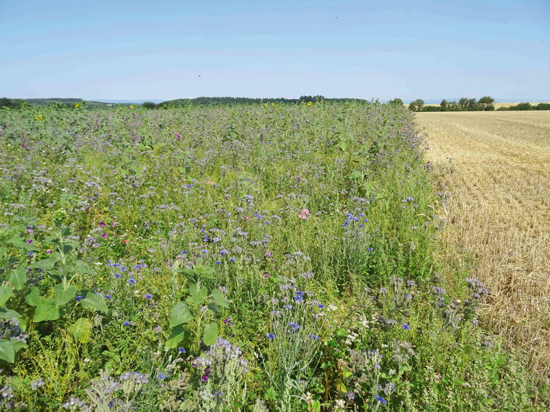 Ziele von Landwirtschaft und Naturschutz – eine Annäherung