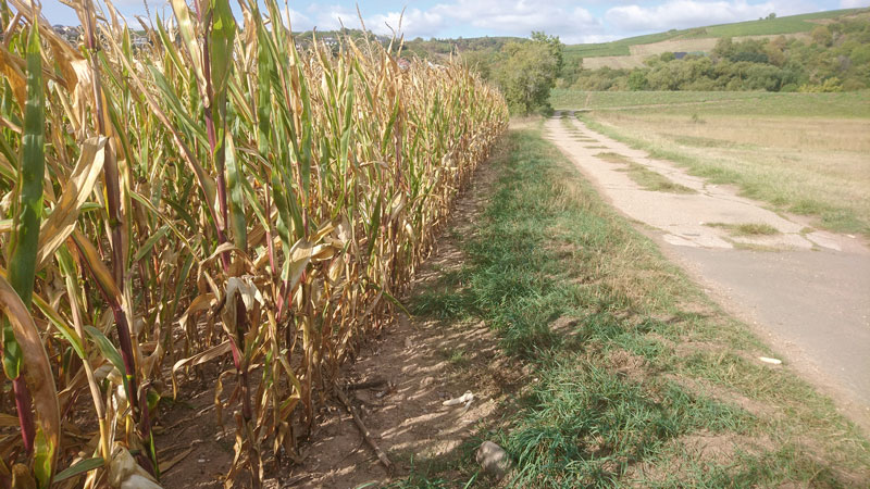 Bessere Einbindung der Landwirte bei Planung und Bau