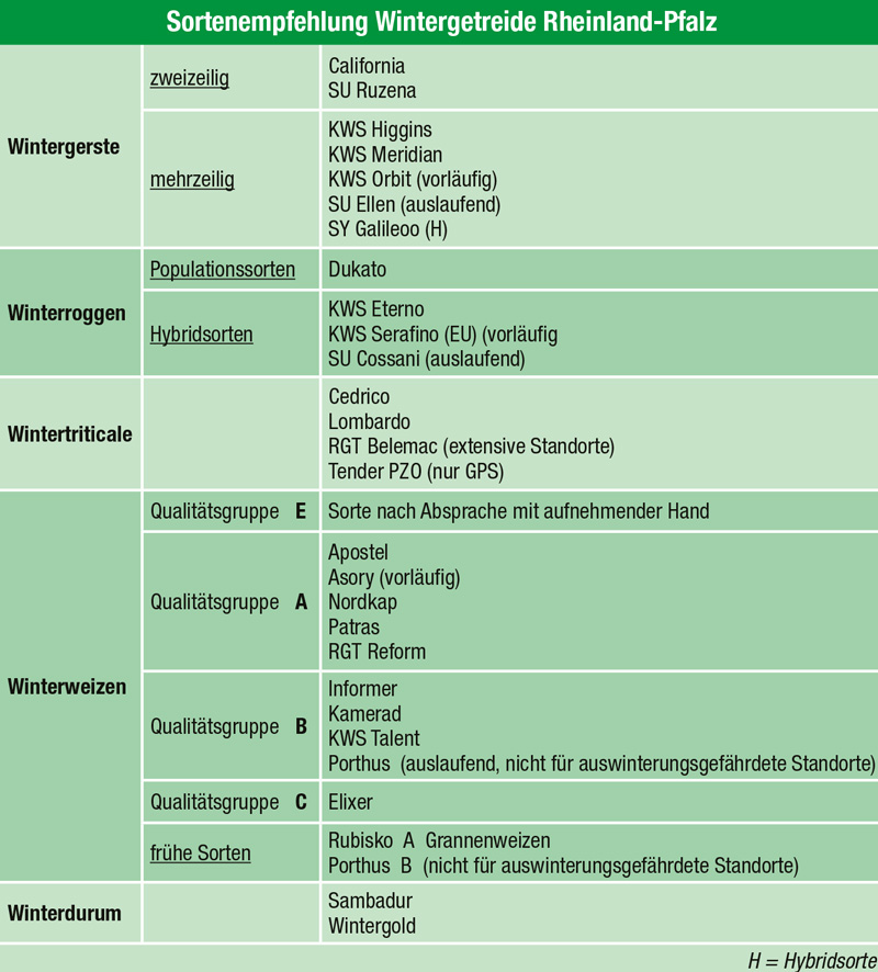 Welche Sorten für die Ernte 2020?