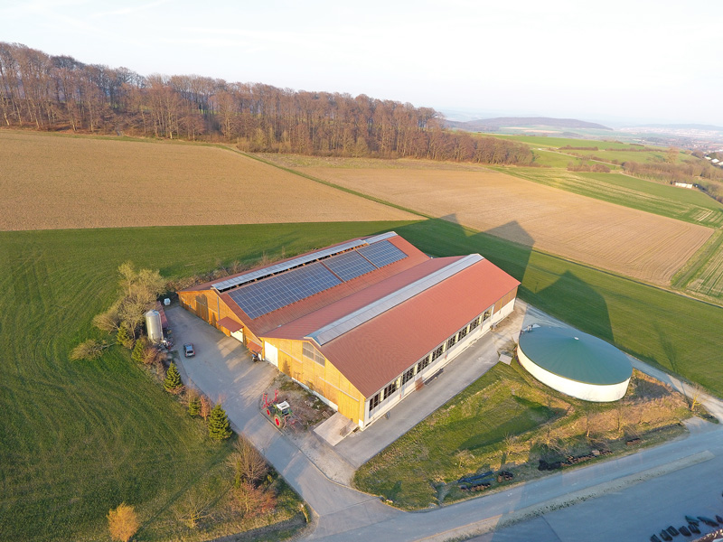 Beim Bauen auf Experten setzen