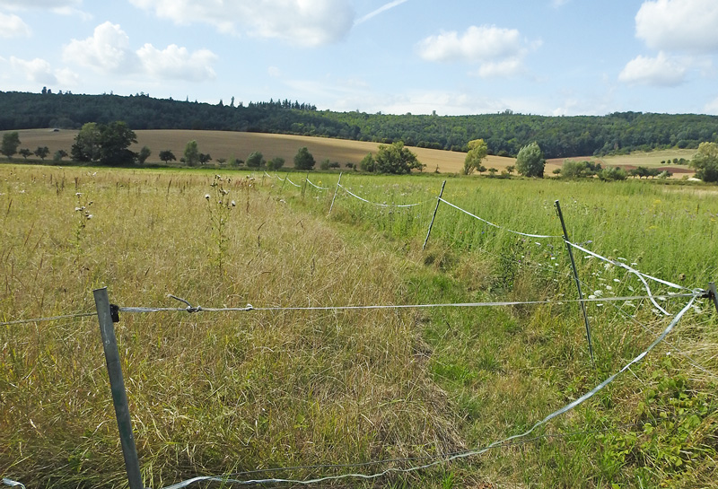 Nicht genutzte Weidezäune abbauen