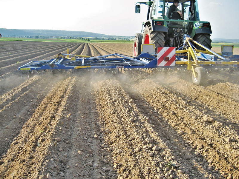 Mechanische Unkrautbekämpfung mit dem Striegel 