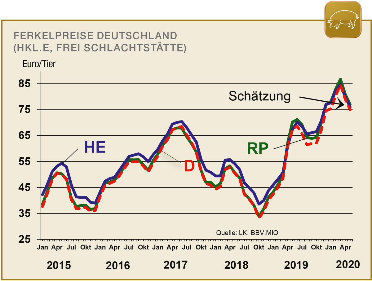 Schwierige Geschäfte mit Jungbullen 