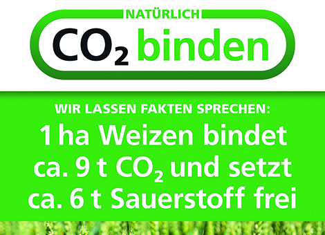 Wie viel CO2 binden Pflanzen wie Weizen und Raps?