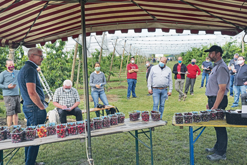 Kirschentag Rheinland-Pfalz trotz Corona durchgeführt