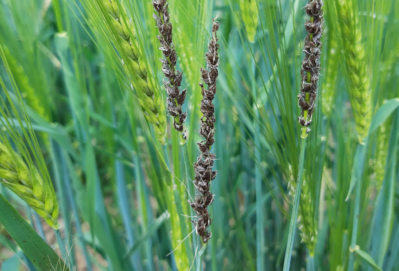 Ernüchternde Erträge und ein mäßiges Ergebnis