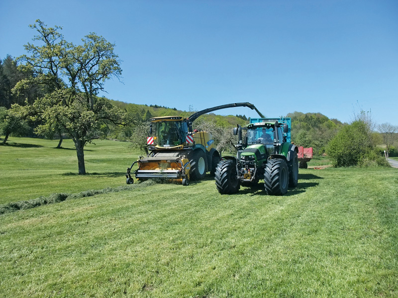 Energiegehalte bei Grassilagen auf Kraftfutterniveau