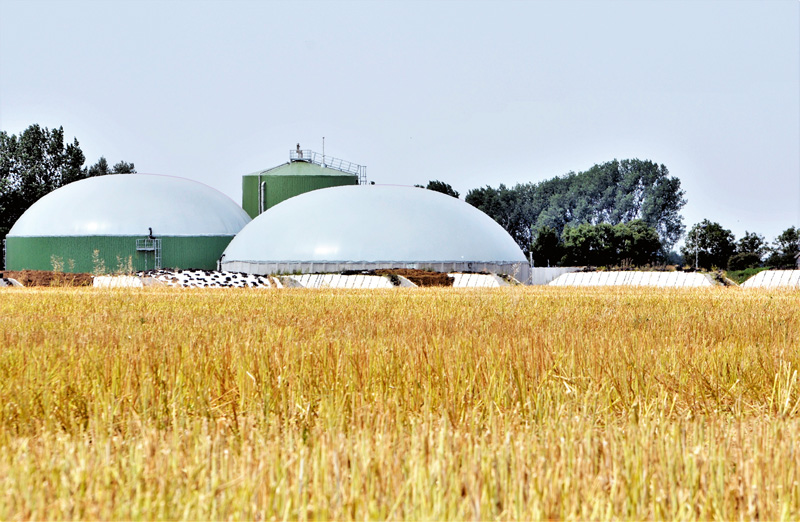 Mittendrin statt nur dabei – Landwirte und Klimaschutz