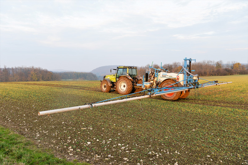 Herbizid-Maßnahmen im Herbst bieten viele Vorteile 