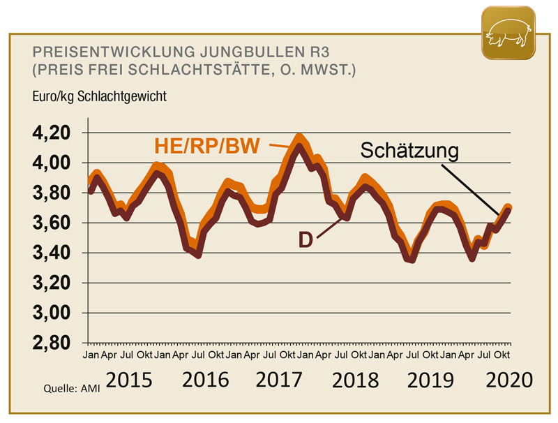 Handel mit Jungbullen belebt – Schweinemarkt unter Druck