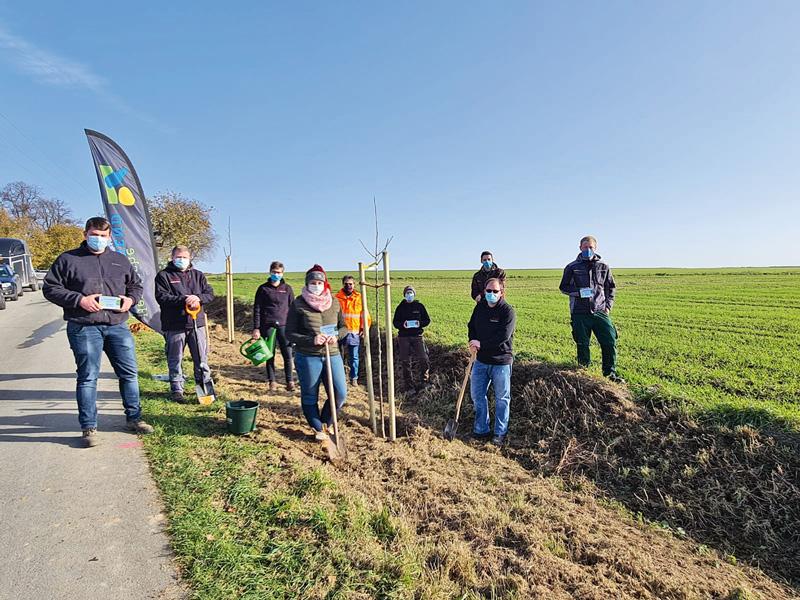 Zehn Bäume in Hofgeismar gepflanzt