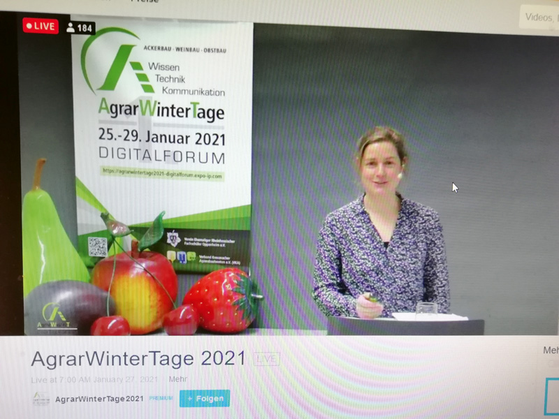 Virtueller Obstbautag Rheinland-Pfalz gut besucht