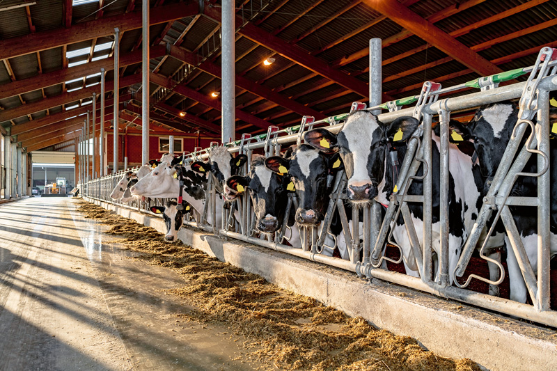 Investive Förderung in der Landwirtschaft