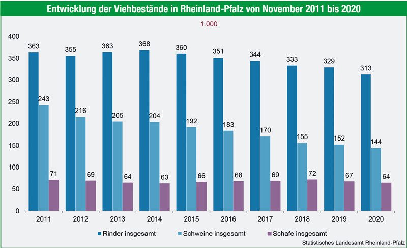 Viehbestände in Rheinland-Pfalz schrumpfen weiter