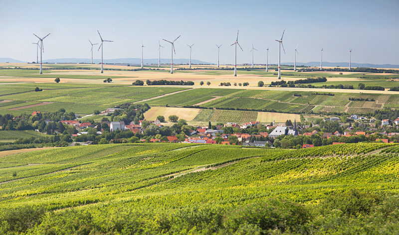 Landwirtschaft und Weinbau sind Wirtschaftsfaktor 