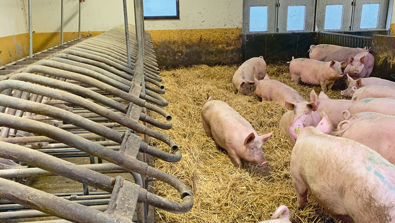 Was machen die Schweden anders?
