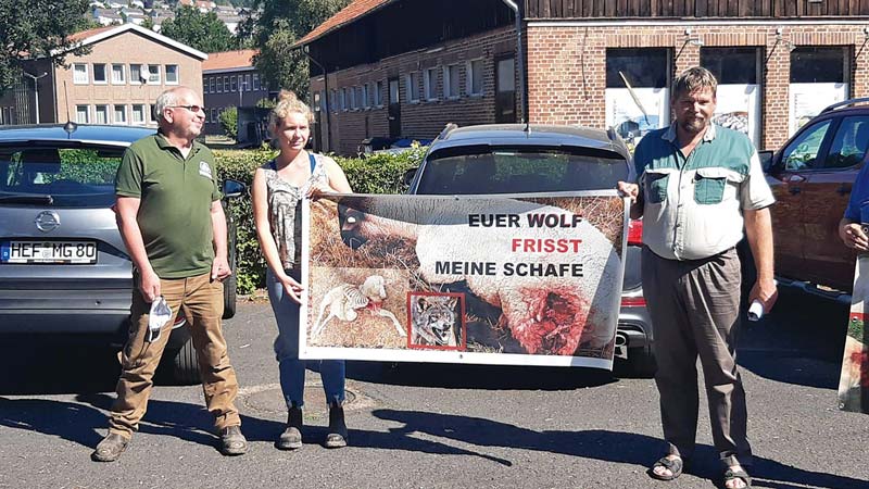 Neuer Wolfsmanagementplan für Hessen vorgestellt