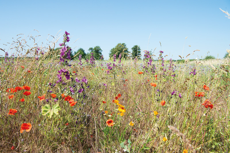 Kooperativen Naturschutz auf den Weg bringen