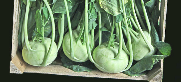 Marktkommentar Kohlrabi