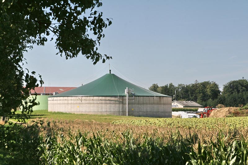 Eigennutzung von Biogas als Ausweg aus dem EEG