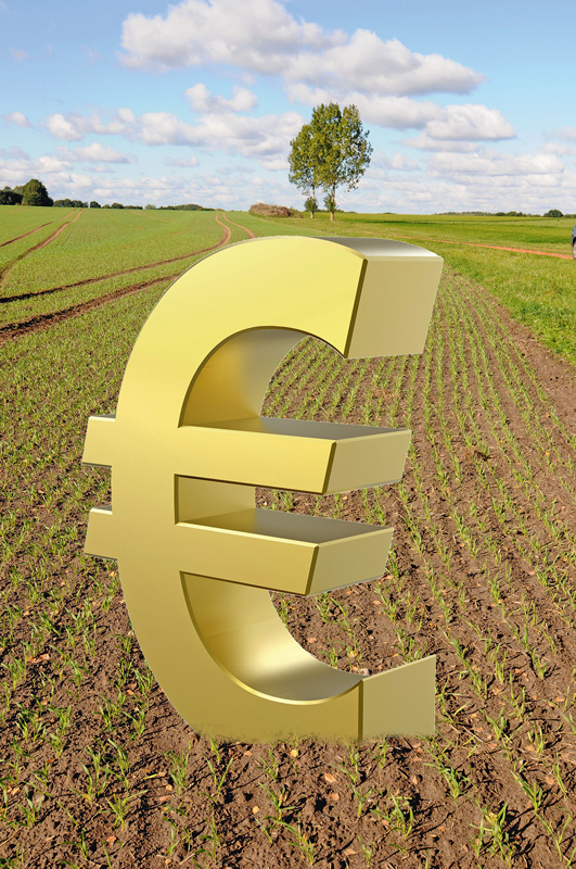 Pachtpreise seit 2010 kräftig gestiegen