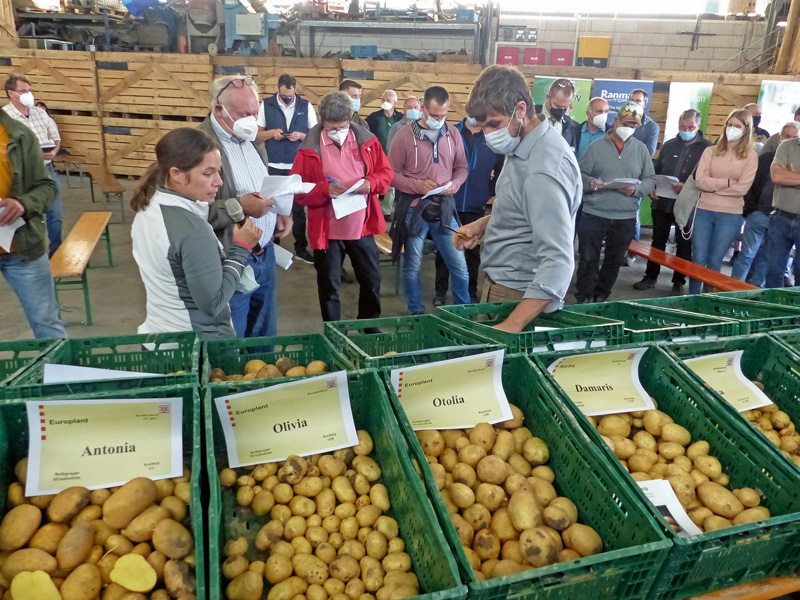 Wetterauer Kartoffeltag auf dem Laupushof