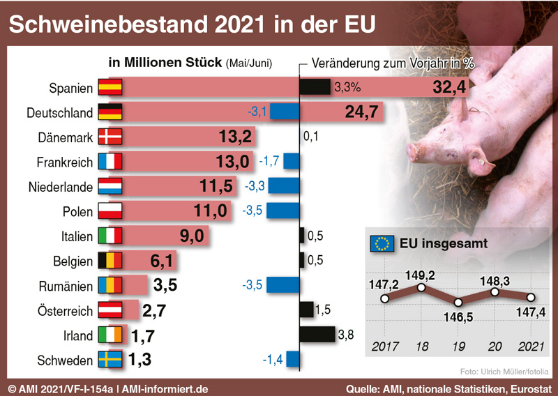 Schweinebestand 2021 in der EU