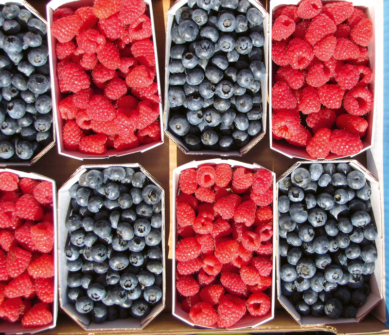 Heidelbeeren sind die Lieblinge der Verbraucher