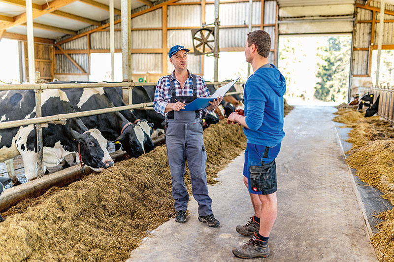 Erfolgreiche Milchproduktion ohne große Investitionen