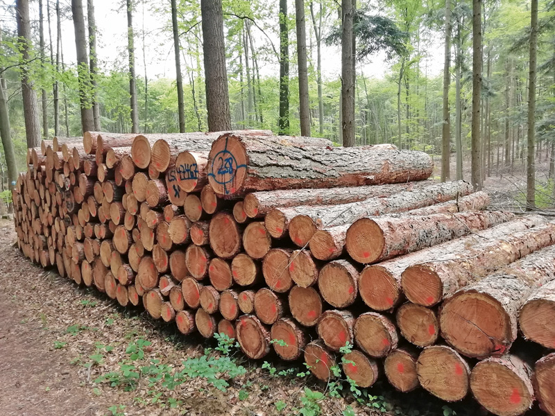 Holz ist gesucht  – alles wird genommen