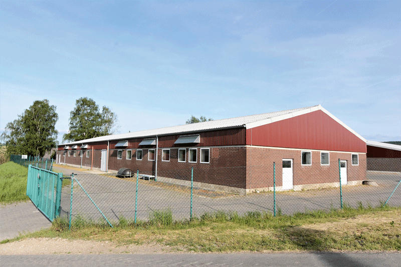 Afrikanische Schweinepest aus dem Betrieb fernhalten