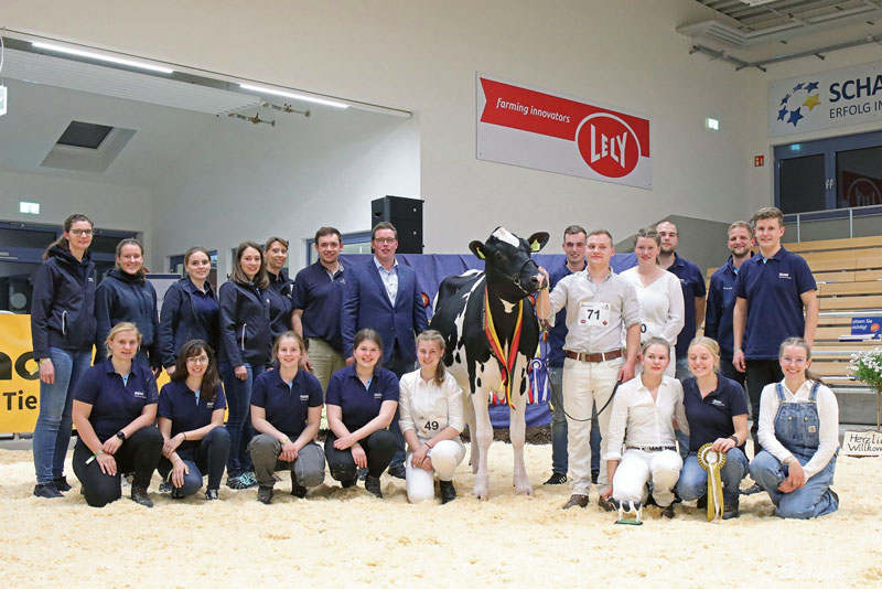 Erfolgreich beim Clipping, Rangieren und Tierbeurteilen