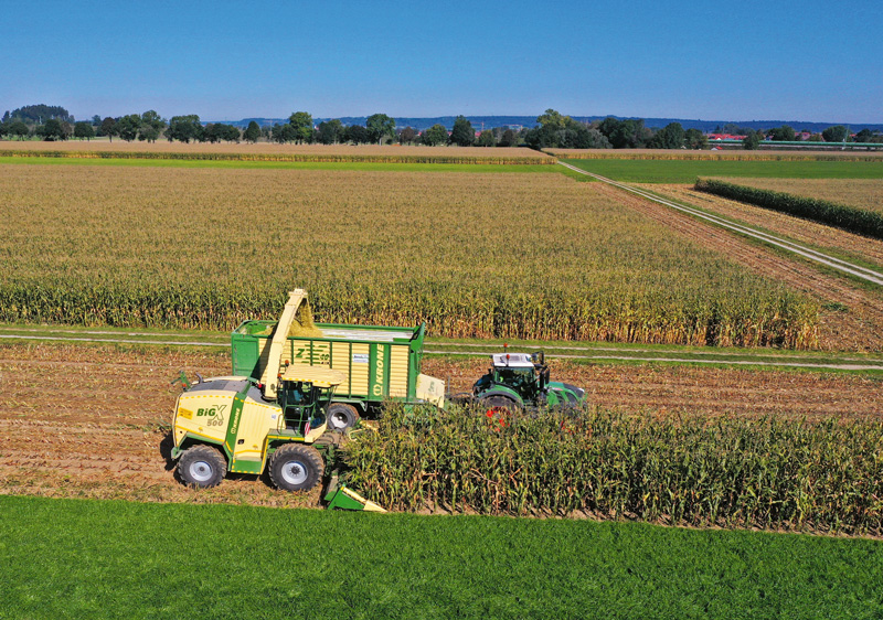 Die perfekte Maissilage anstreben