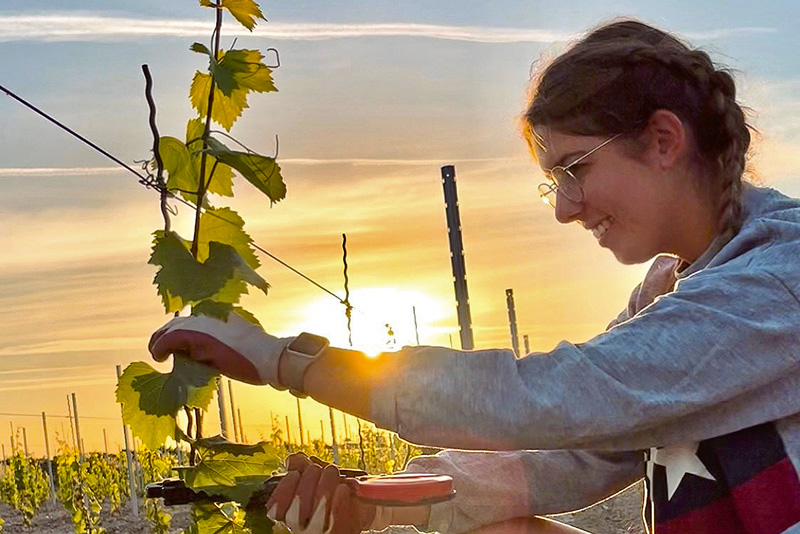 Ausbildung geschafft