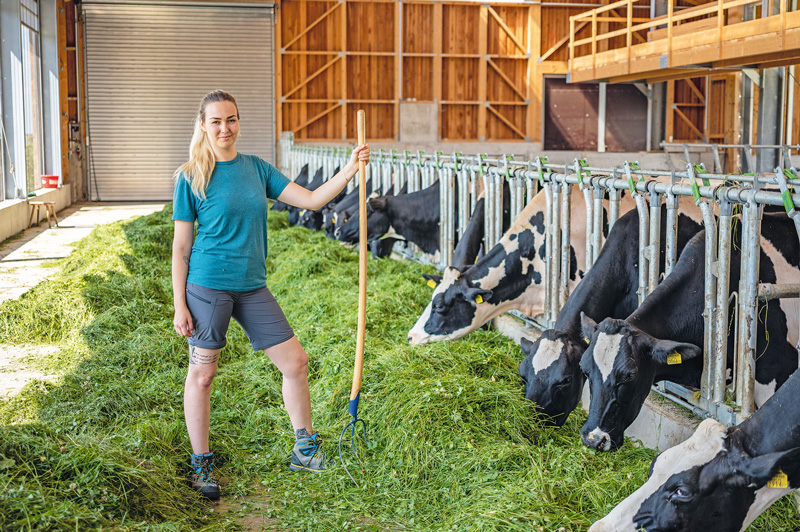 Preise für Bio-Milch auf Allzeithoch