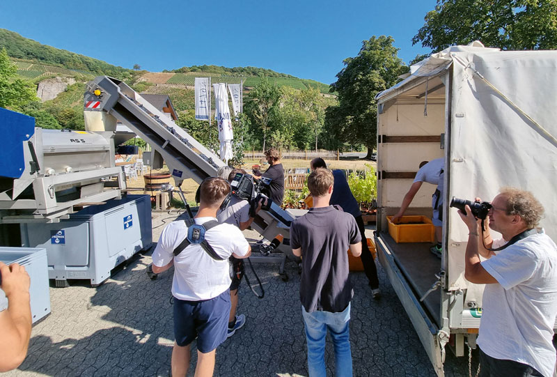 Großes Medienecho beim Start der Hauptweinlese 