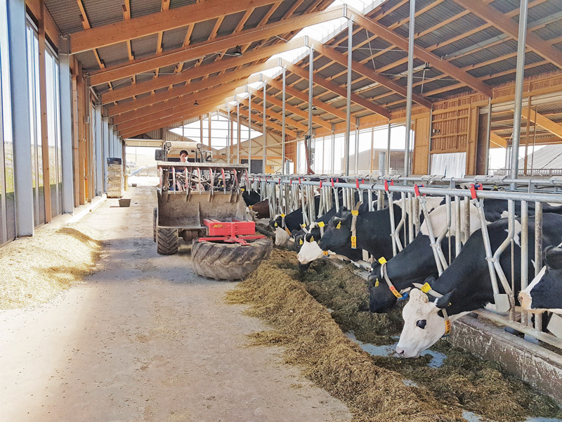 Wie füttern mit der Grassilage in Rheinland-Pfalz?