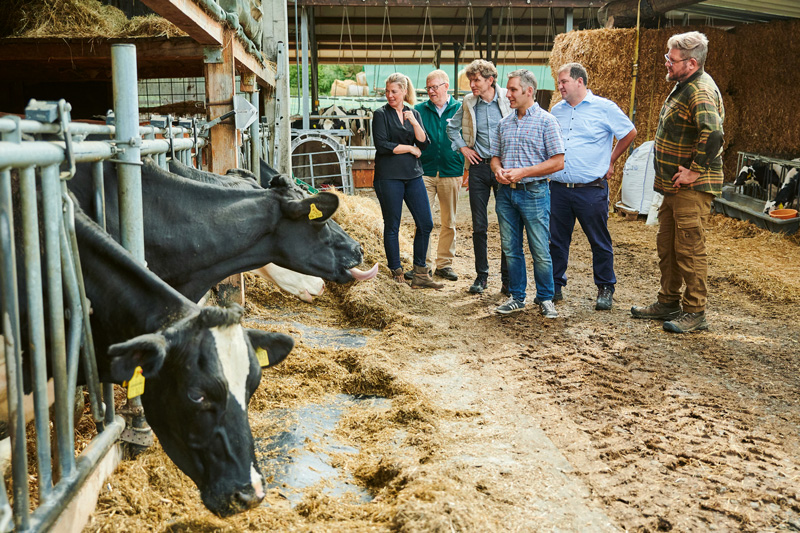 Erste Klima-Milchfarm in Deutschland geht an den Start