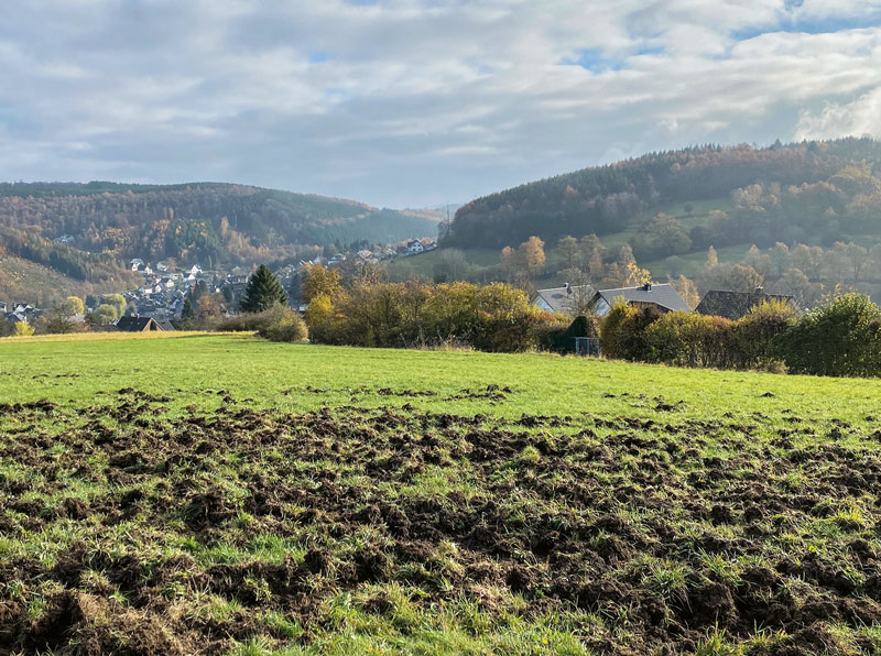 Regulierung von Schäden an landwirtschaftlichen Kulturen 