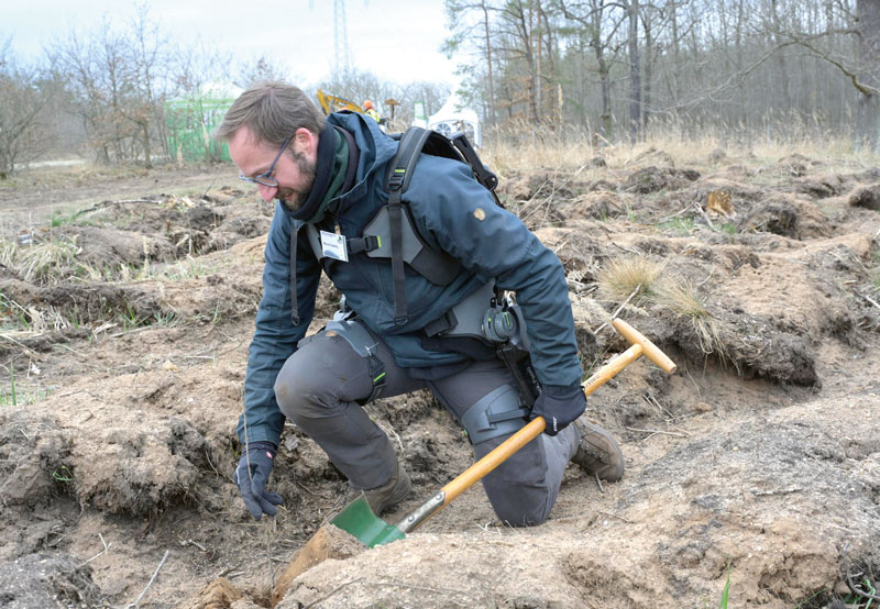 Nach den Borkenkäfern sind die Wälder neu zu begründen