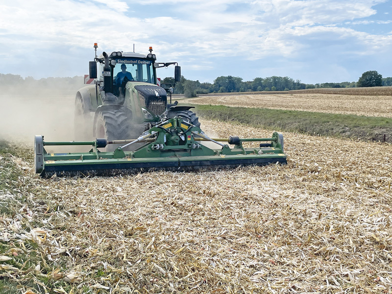 Intensive Stoppelbearbeitung reduziert Maiszünslerbefall