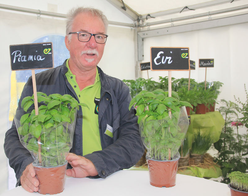 Von Basilikum bis Rucola, von Frühjahr bis Herbst