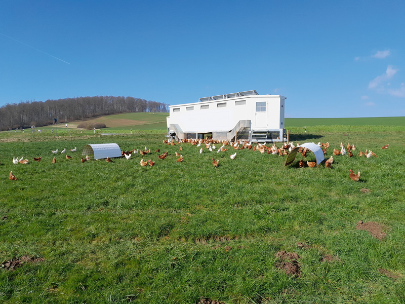 Effiziente Arbeitsplanung bestimmt den Stundenlohn 