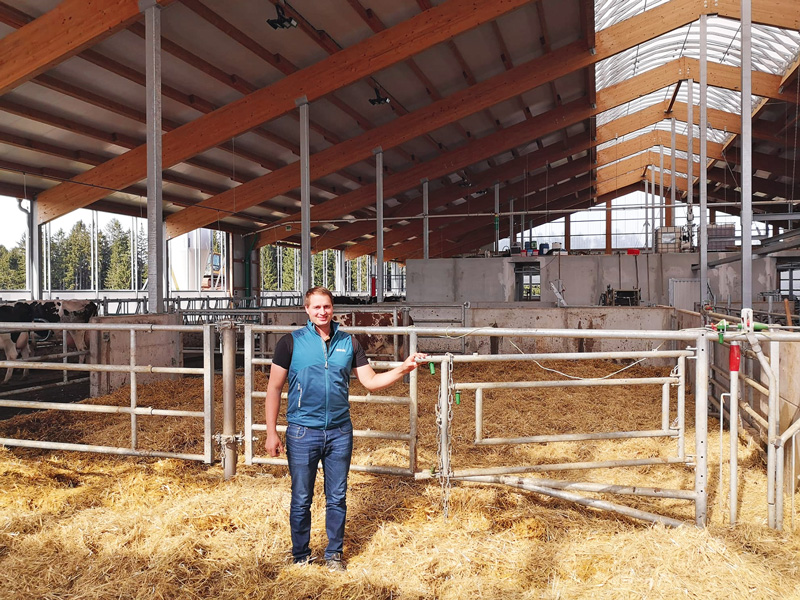 Innovativer Milchviehstall für 150 Kühe