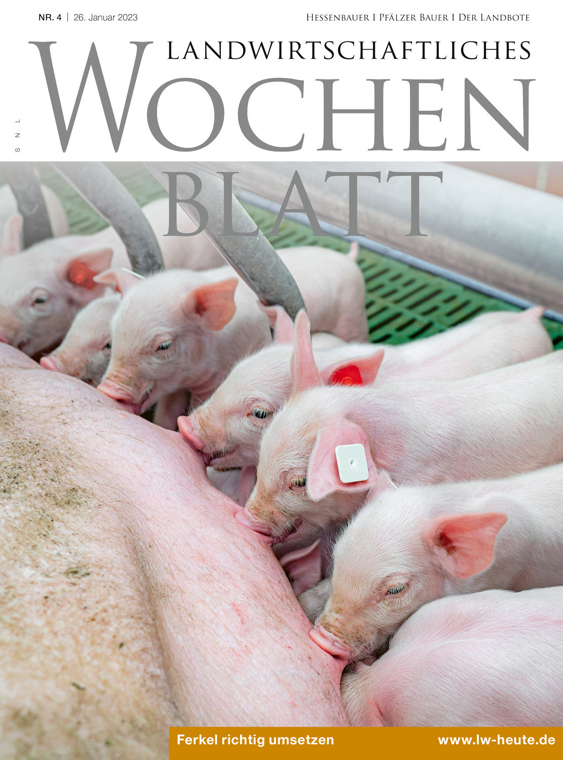 Ausgabe 4/2023
