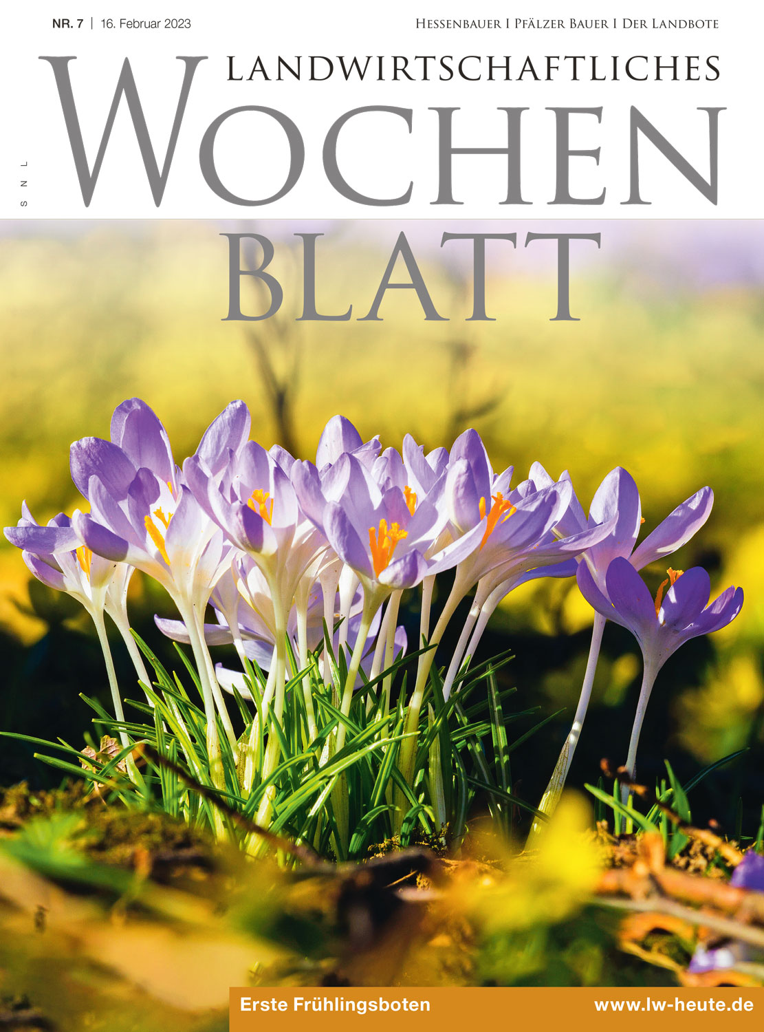 Ausgabe 7/2023
