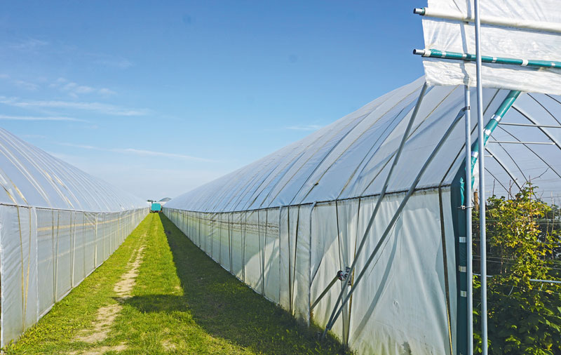 Gibt es bald Folien mit integrierten Solarzellen?