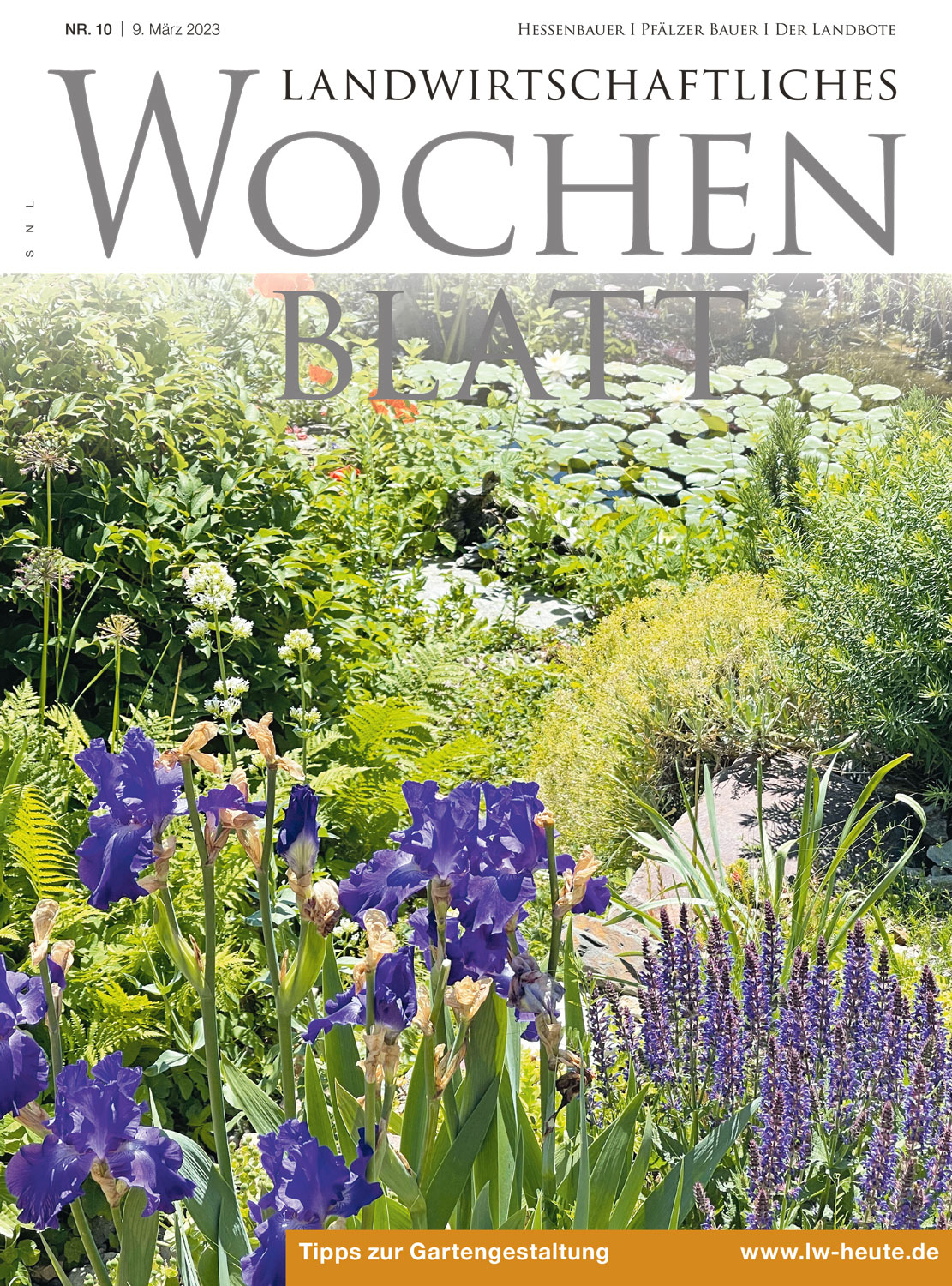 Ausgabe 10/2023